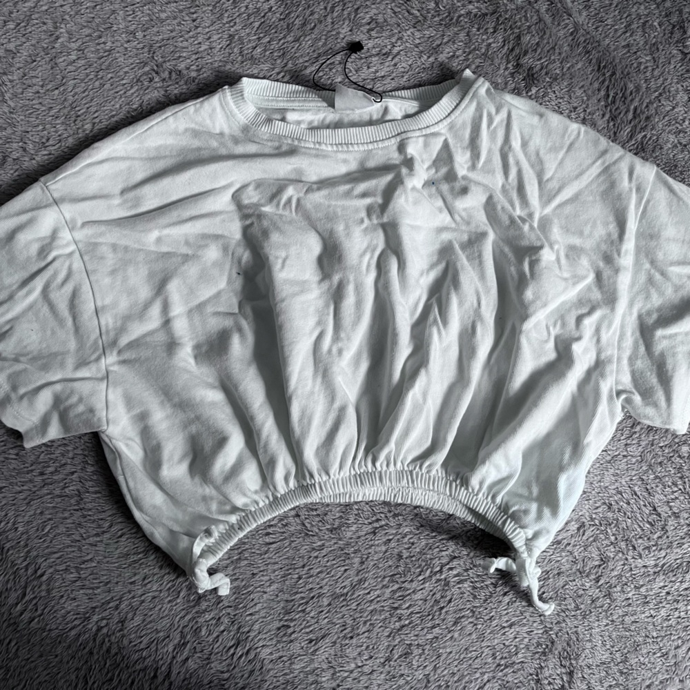 Zara Cropped Top with Puffy Sleeves